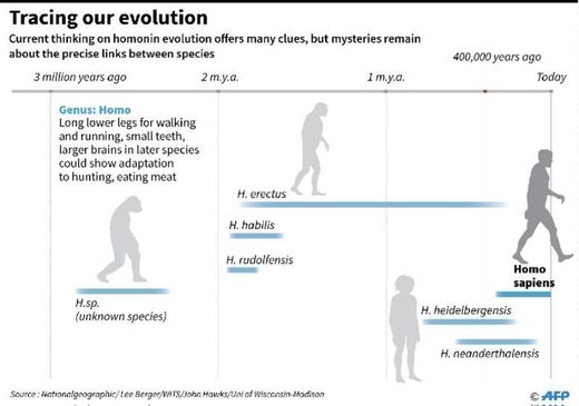 400.000 godina stara lubanja nudi nove tragove o ljudskoj evoluciji