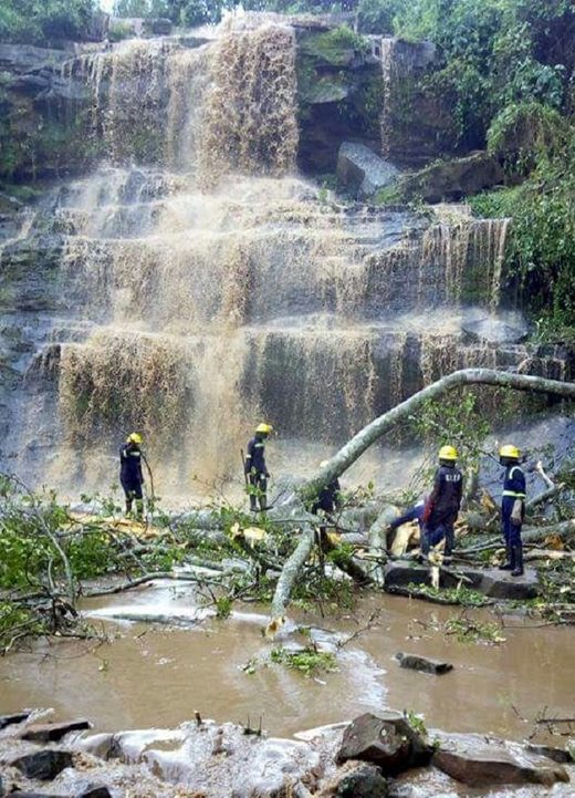Gana: 18 poginulih, 20 povrijeđenih kada je palo veliko drvo u kupalište u podnožju vodopada