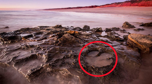 Otkriveno preko 21 različitih tragova dinosaurusa na sjeverozapadu Australije