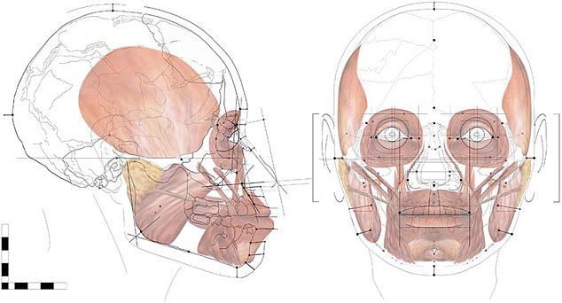 Znanstvenici rekonstruirali lice žene koja je umrla prije više od 13.000 godina 