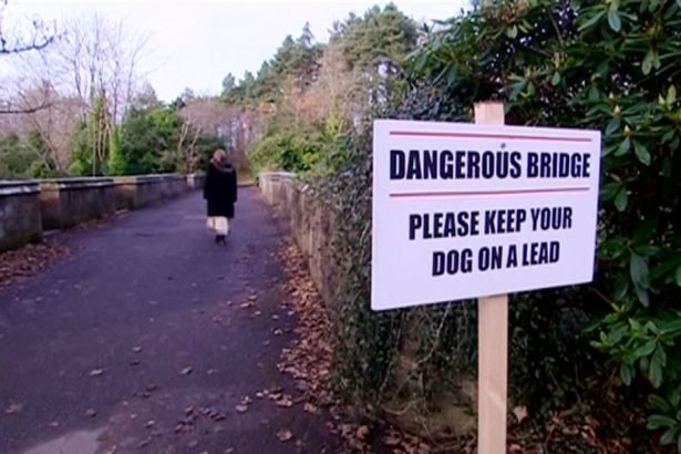 Most sa kojeg je više od 50 pasa izvršilo samoubistvo