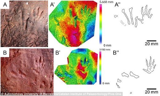 Na Pirinejima pronađen drevni otisak stopala nepoznate vrste reptila