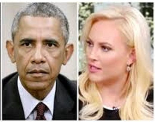 “Obama je prljavi kapitalist, kao i svi mi”, kaže čerka američkog senatora Johna McCaina