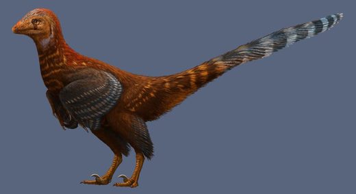 Dinosaurus koji podsjeća na pile upravo otkriven u Kini