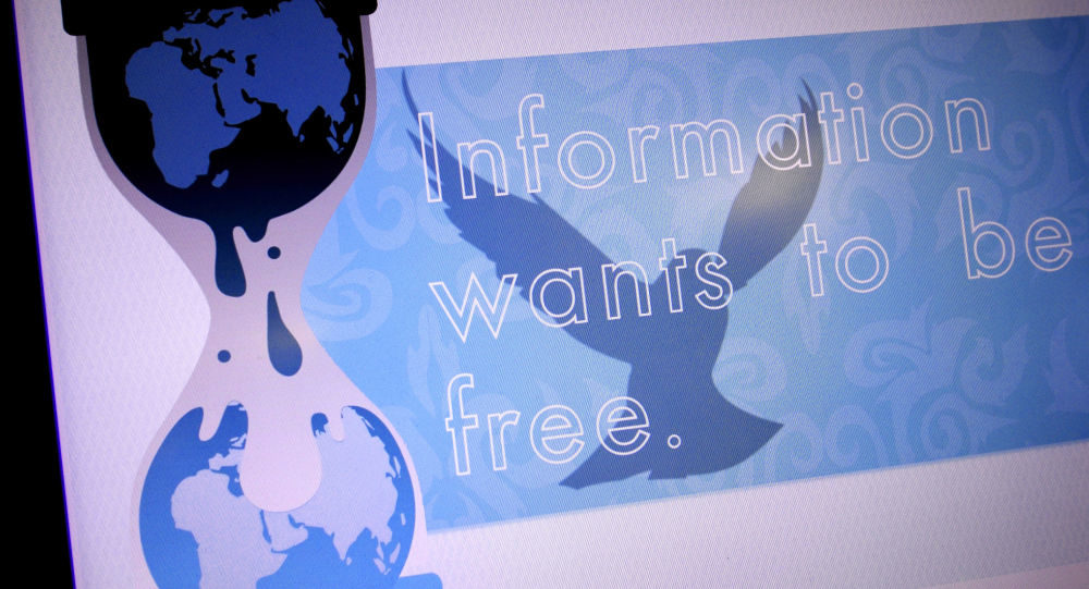 Wikileaks
