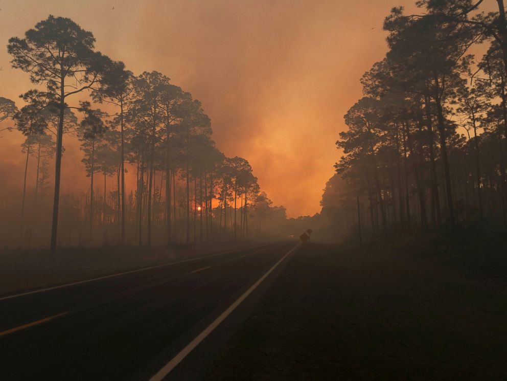 Divlji požar u Džordžiji uništio 52.550 hektara