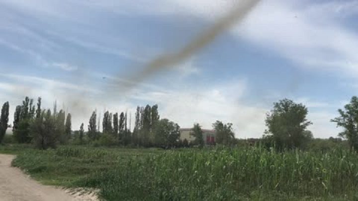 Gigantski roj komaraca muči stanovnike Rostovske oblasti u Rusiji