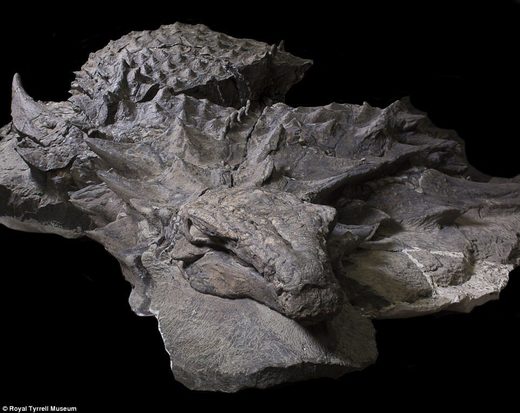 U Kanadi otkriven fosil dinosaura star nevjerojatnih 110 milijuna godina, a koji je tako dobro očuvan da izgleda kao kip