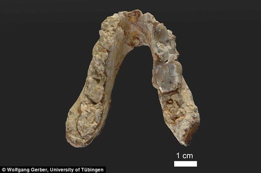 Fosili stari 7,2 milijuna godina pokazuju da je moderni čovjek mogao nastati na istoku Mediterana, a ne u Africi