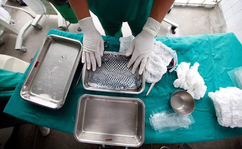 Brazilski znanstvenici za opekline koriste kožu ribe, ubrzava zarastanje rane, smanjuje potrebu za lijekovima protiv bolova