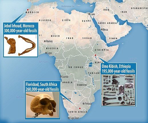 300.000 godina stare kosti pronađene u Maroku otkrivaju da se Homo sapiens razvio diljem Afrike 100.000 godina ranije nego se očekivalo