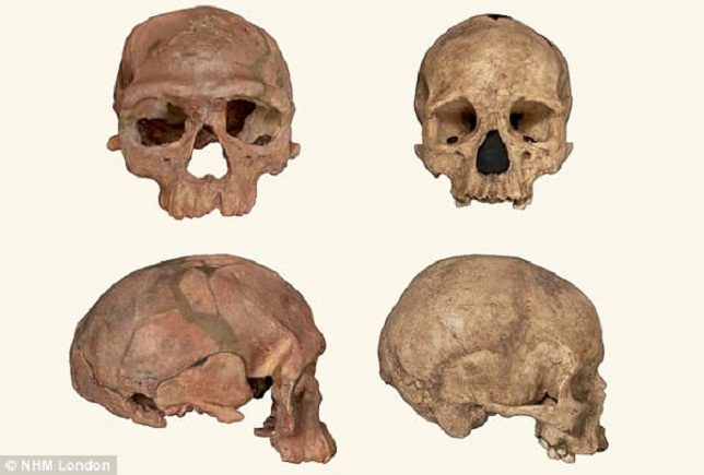 300.000 godina stare kosti pronađene u Maroku otkrivaju da se naša vrsta razvila mnogo ranije nego se mislilo