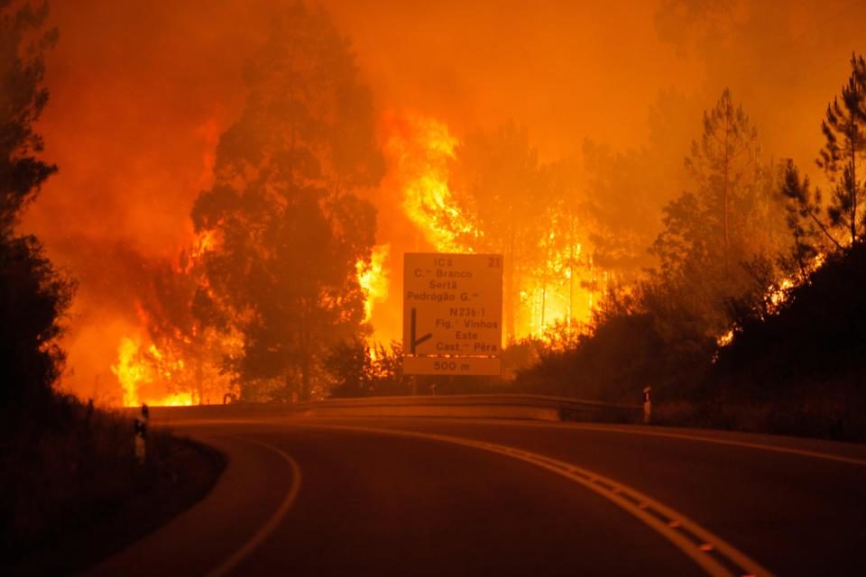 Požar Portugal