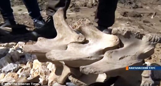 Školarci otkriti 25.000 godina stare ostatke misteriozne „smrdljive zvijeri” u Sibiru