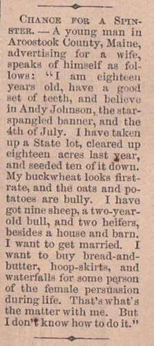 Oglas iz 1865.godine: Traži ženu da joj kupuje haljine i vodopade