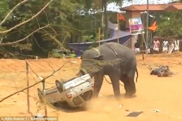 Ljutiti slon divljao na festivalu u Indiji