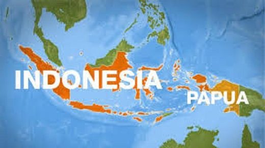 U indonezijskoj Papui nestao avion s 5 osoba