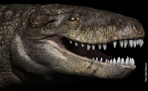 Otkriven fosil rođaka krokodila od kog su i dinosaurusi prezali