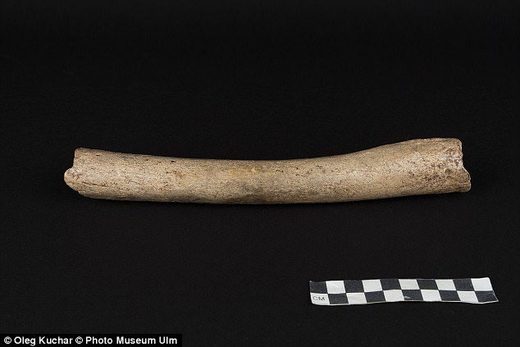 Genetska analiza 124.000 godina starih kostiju ukazuje da su se neandertalci i ljudi razdvojili 300.000 godina kasnije nego se mislilo