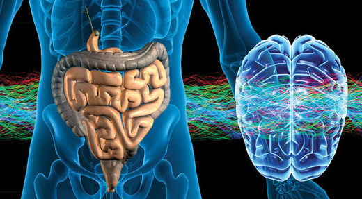 Veza između trbuha i mozga: Emocionalno ponašanje pod snažnim utjecajem mikroba u crijevima