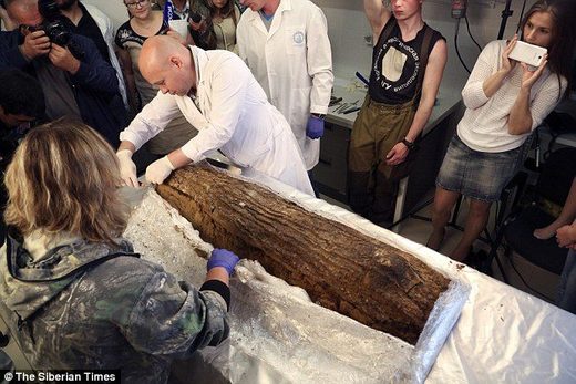 Savršeno sačuvane mumije prekrivene bakrom, tkaninom i korom drveta, otkrivene na dalekom sjeveru Rusije