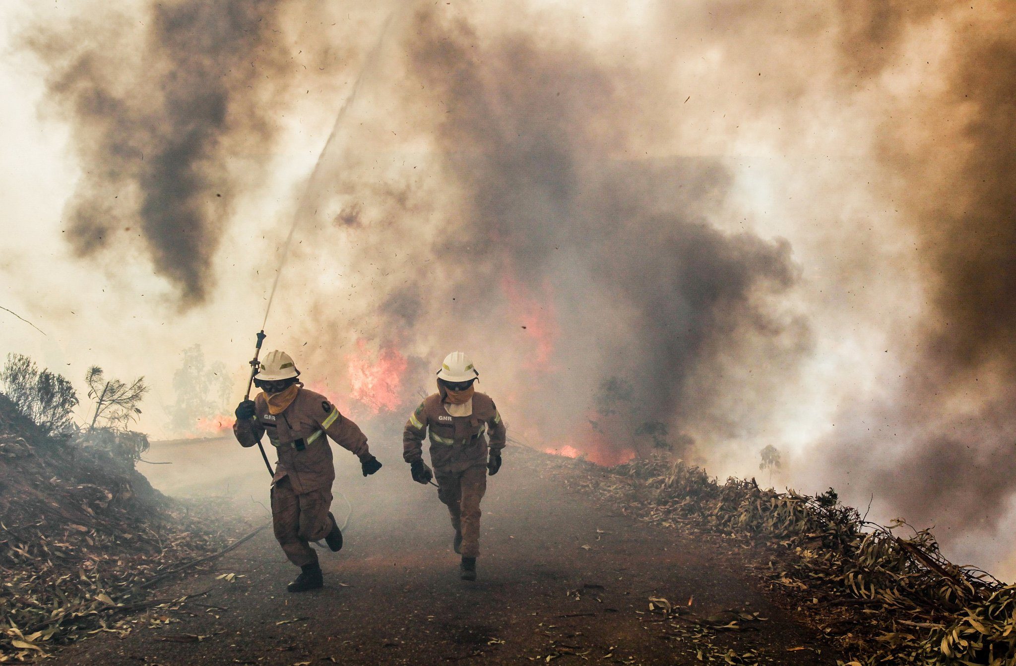 U Francuskoj i Portugalu divlji požari, najmanje 64 poginule osobe