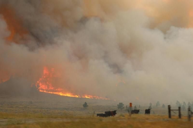 Montana: Vatrogasci se bore sa najvećim šumskim požarom u SAD-u