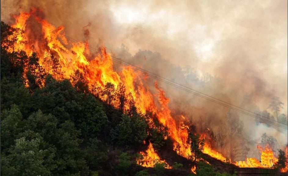 I u Albaniji se vatrogasci bore sa šumskim požarima