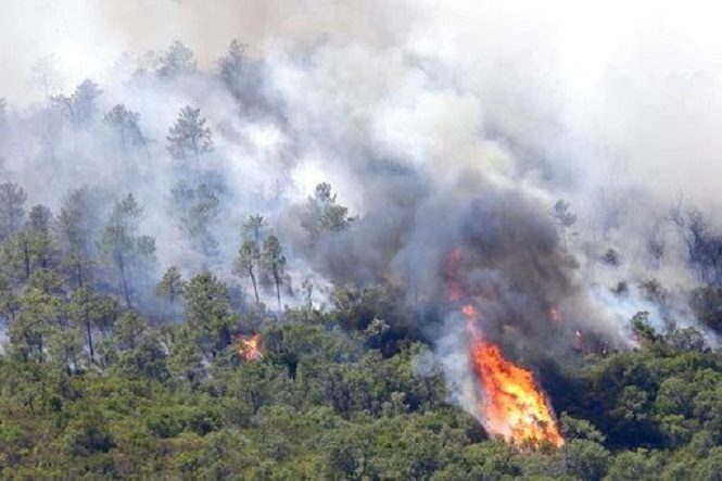 Albanija traži pomoć EU, u 24 sata 25 novih požara