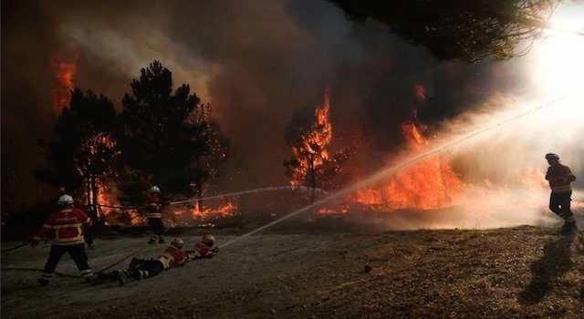 U Italiji uhapšeno 15 vatrogasaca-dobrovoljaca: Podmetali požare kako bi zaradili na njihovom gašenju