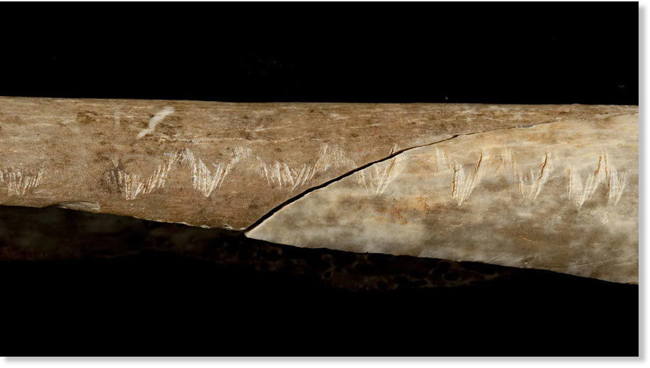 Istraživači otkrivaju da su prapovijesni Britanci jeli ljude i rezbarili ureze na njihove kosti