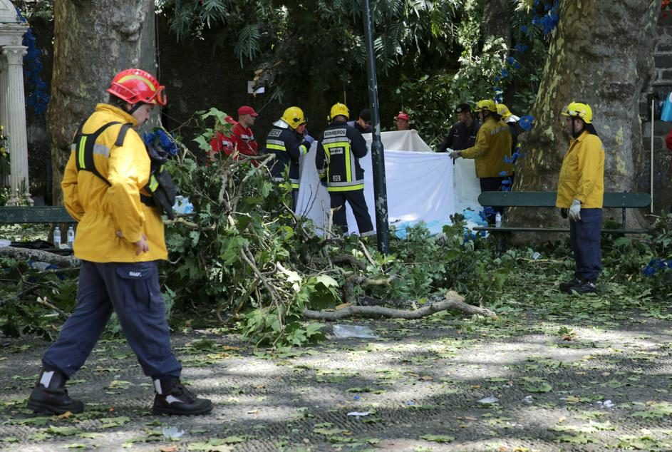 Najmanje 12 ljudi poginulo, 50 ozlijeđeno kada je tokom vjerskog festivala na vjernike palo stablo na Madeiri