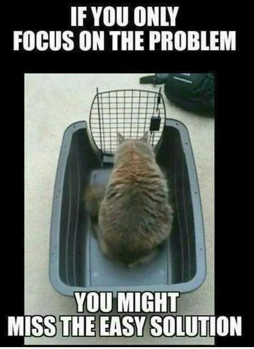 If you only focus on the problem