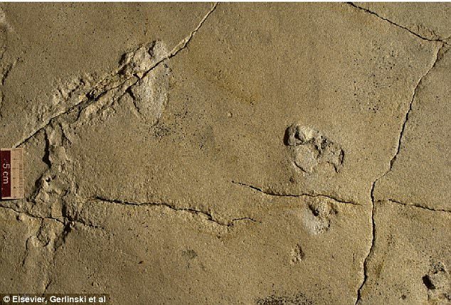 5,7 milijuna godina stari fosilni otisci stopala pronađeni u Grčkoj bi mogli uzdrmati naše shvaćanje ljudske evolucije