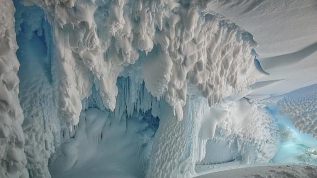 Nova studija otkrila je da životinje i biljke mogu živjeti u toplim pećinama ispod Antarktinih glečera