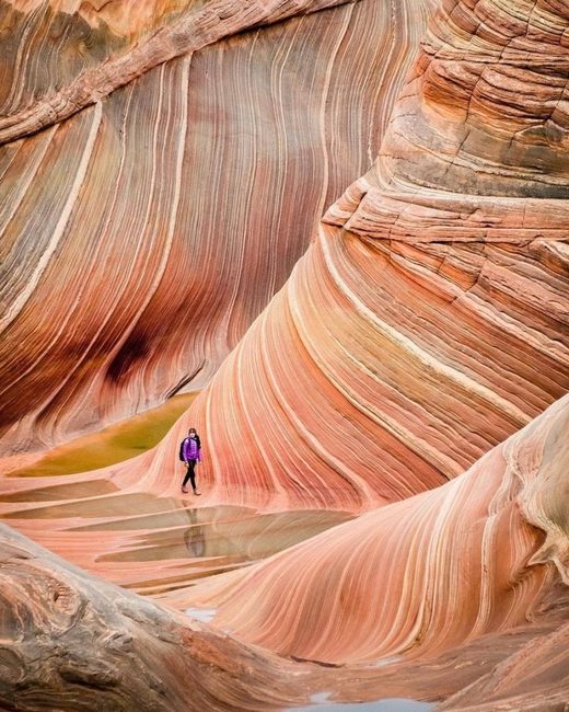 Arizona, wave