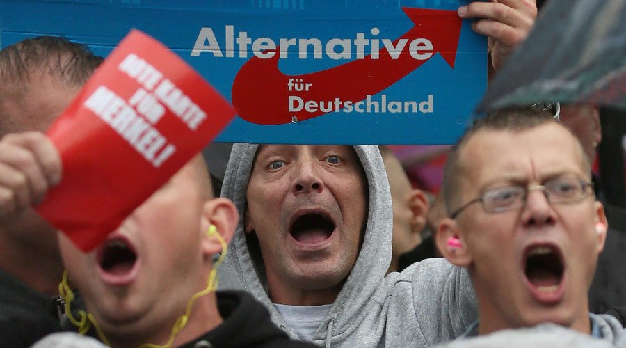 Unatoč usponu AfD-a u Njemačkoj, sve ostaje isto