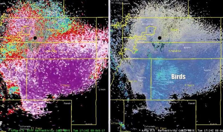 110 kilometara dug val leptira snimljen radarom iznad Kolorada