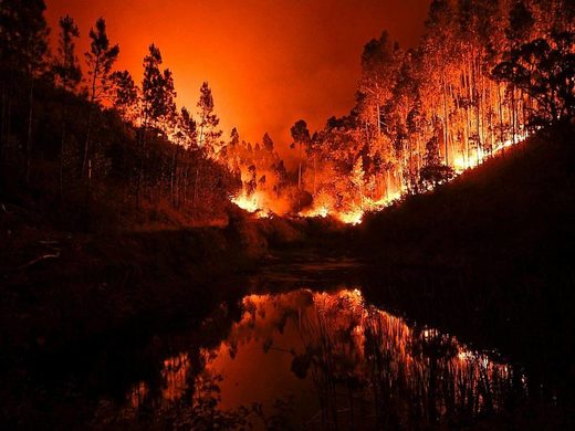 Neovisna istraga pokazala da su portugalske vlasti krive za smrt 64 osobe u požarima