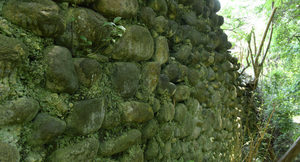 Veliki zid Abhazija