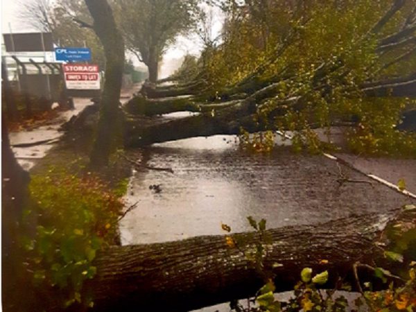 Oluja Ophelia izazvala potpuni kaos u Irskoj, poginule 3 osobe