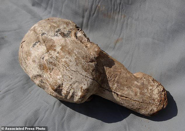 Otkrivena glava egipatske kraljice: Arheolozi pronašli dio drvene statue stare 4000 godina