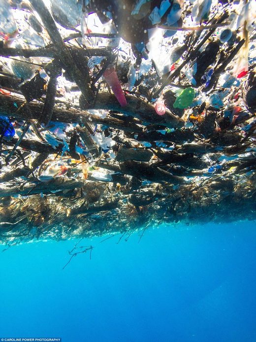 Plastika u oceanima