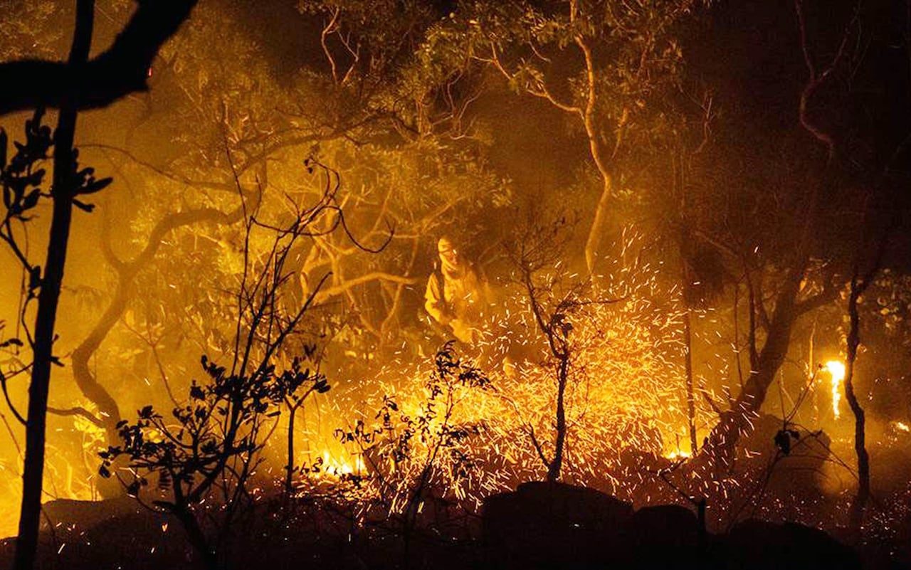 Vatra je uništila više od četvrtine brazilskog nacionalnog parka