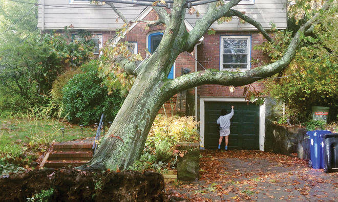 Sjeveroistok SAD-a pogodila jaka oluja, milion ljudi ostao bez struje zbog snažnih vjetrova