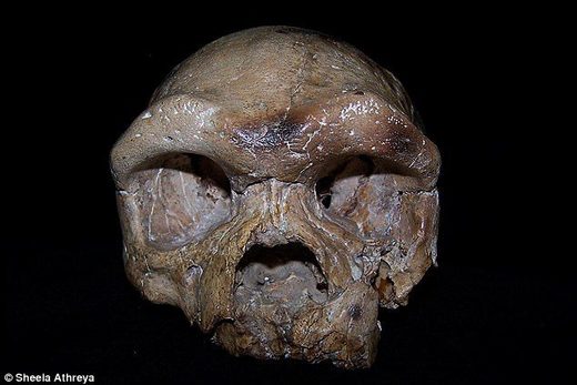 Fosil koji mijenja ljudsku povijest: 260.000 godina stara kineska lubanja sugerira da potićemo iz Azije kao i od afričkih predaka