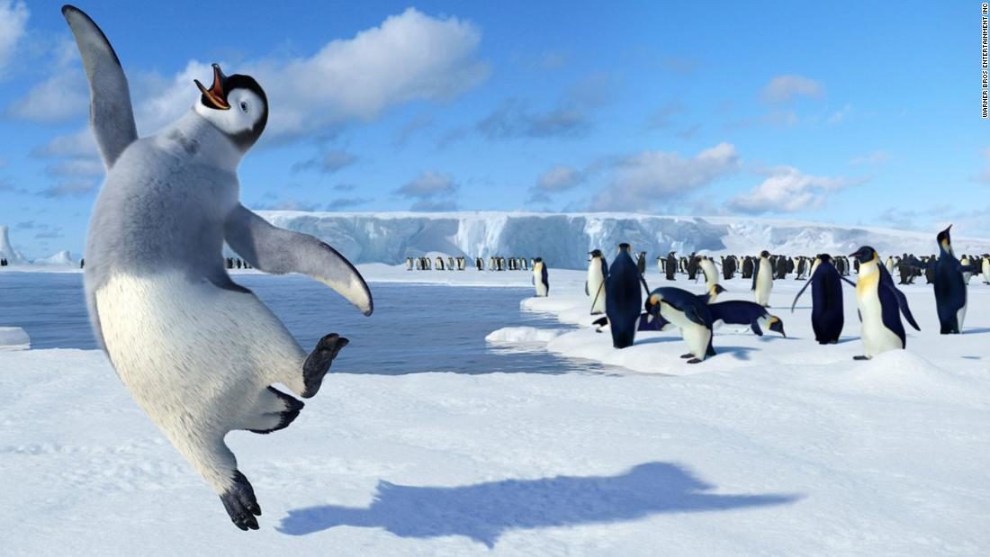Fosili pingvina ljudske veličine otkrivene na Novom Zelandu