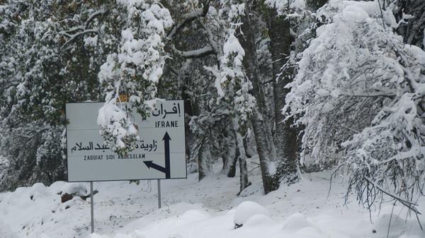U Maroku neouobičajeni hladni talas i snijeg