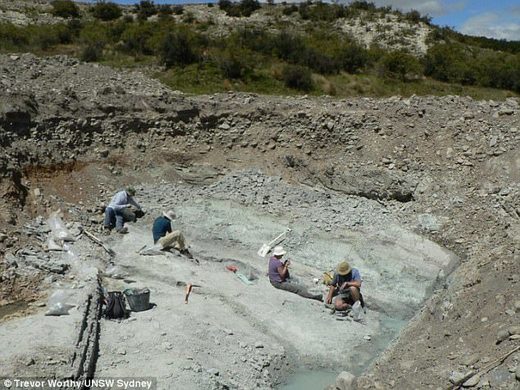 Veliki šišmiš koji je jurio po tlu prije 10 milijuna godina: rijetki fosil pronađen na Novom Zelandu