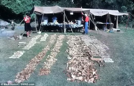 Pronađena masovna grobnica vikinških ratnika u Engleskoj